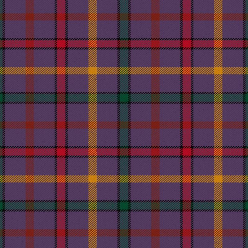 Child The Tartan Kilt