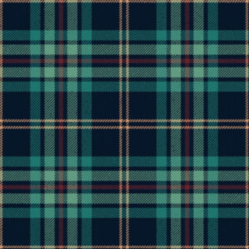 FCM Travel Birthday Modern Tartan Kilt
