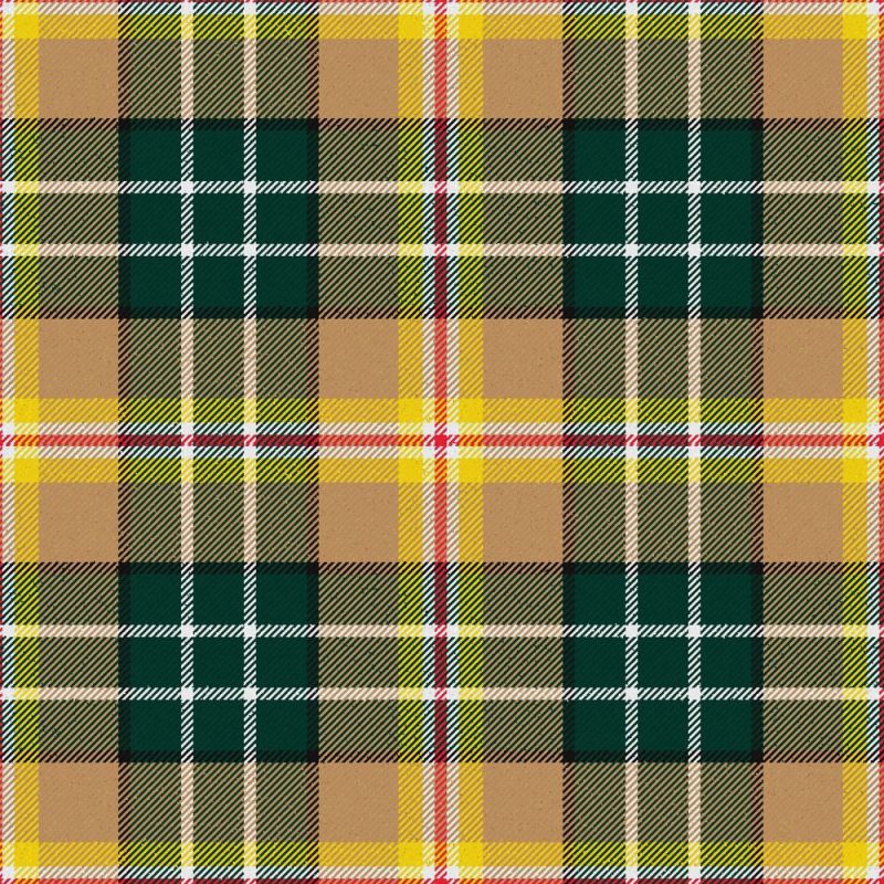 MacShane tartan kilt With Flashes