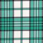 Scott Mint Variation Tartan Kilt thumbnail