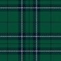 St Denis & Cranley School Tartan Kilt thumbnail